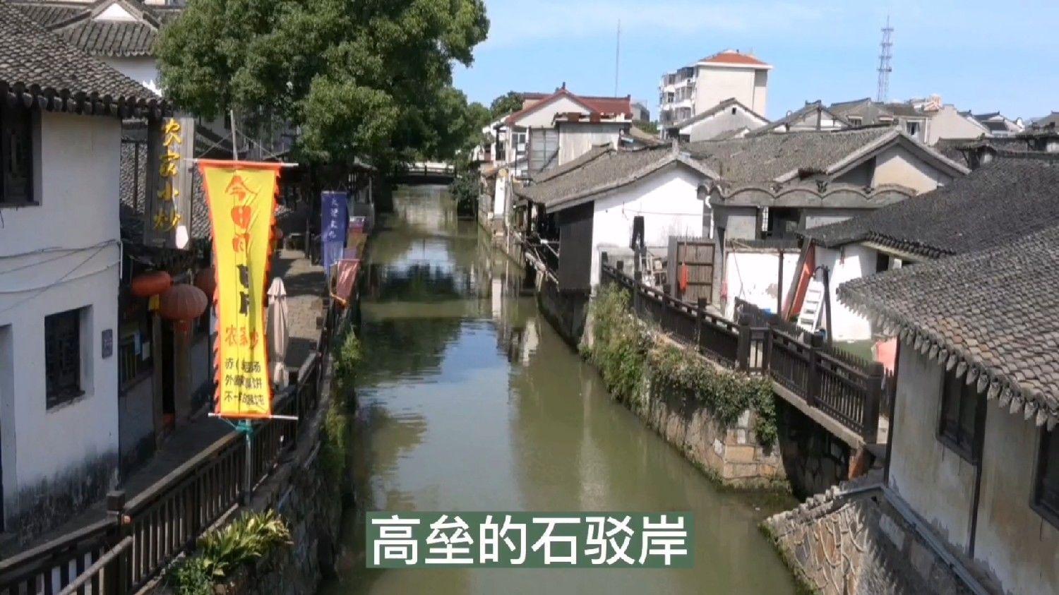一汽-大众全新迈腾：引领潮流的家族式设计，卓越的动力体验